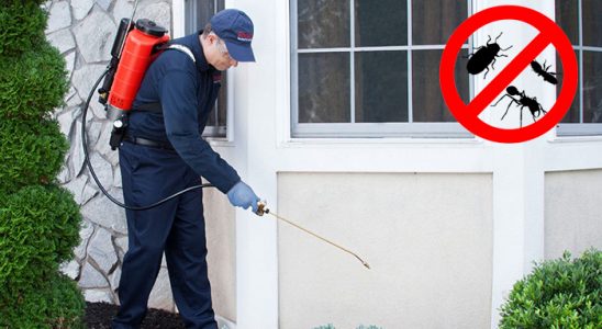 Çayırlı Fare İlaçlama böcek ilaçlama ve haşere kontrolü — ilaclama-tr.com